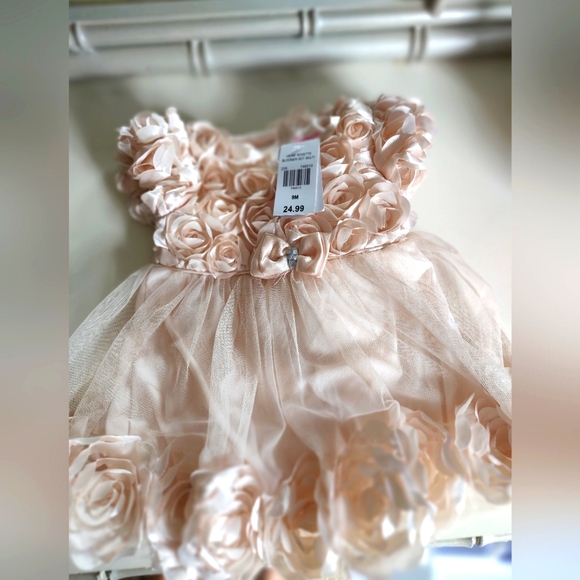 Nannette Baby Other - Elegant Peachy PinkFloral Baby Dress